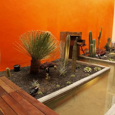 Coyoacan - Inn Ciudad de México Exterior foto