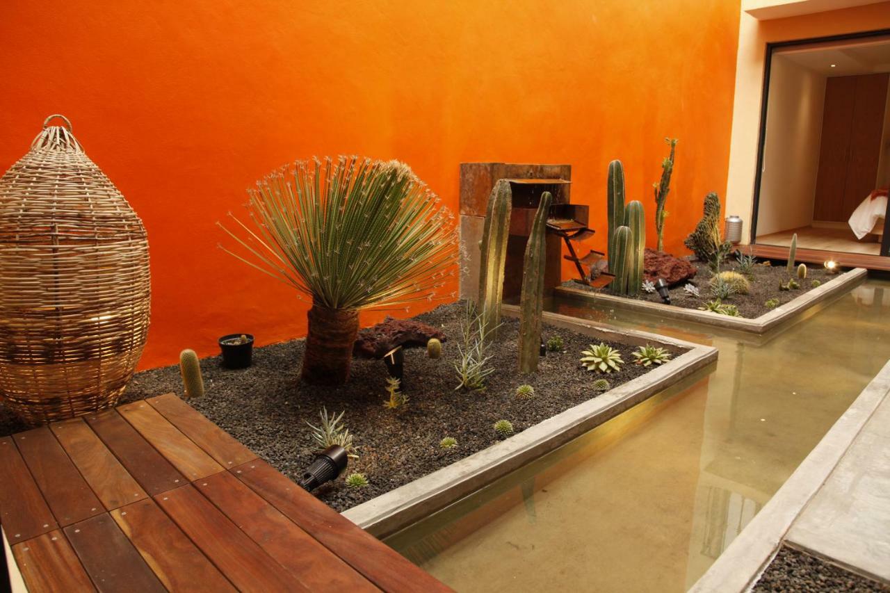 Coyoacan - Inn Ciudad de México Exterior foto